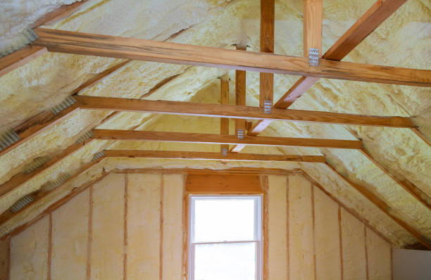 Best Insulation Maintenance and Repair in Ness City, KS